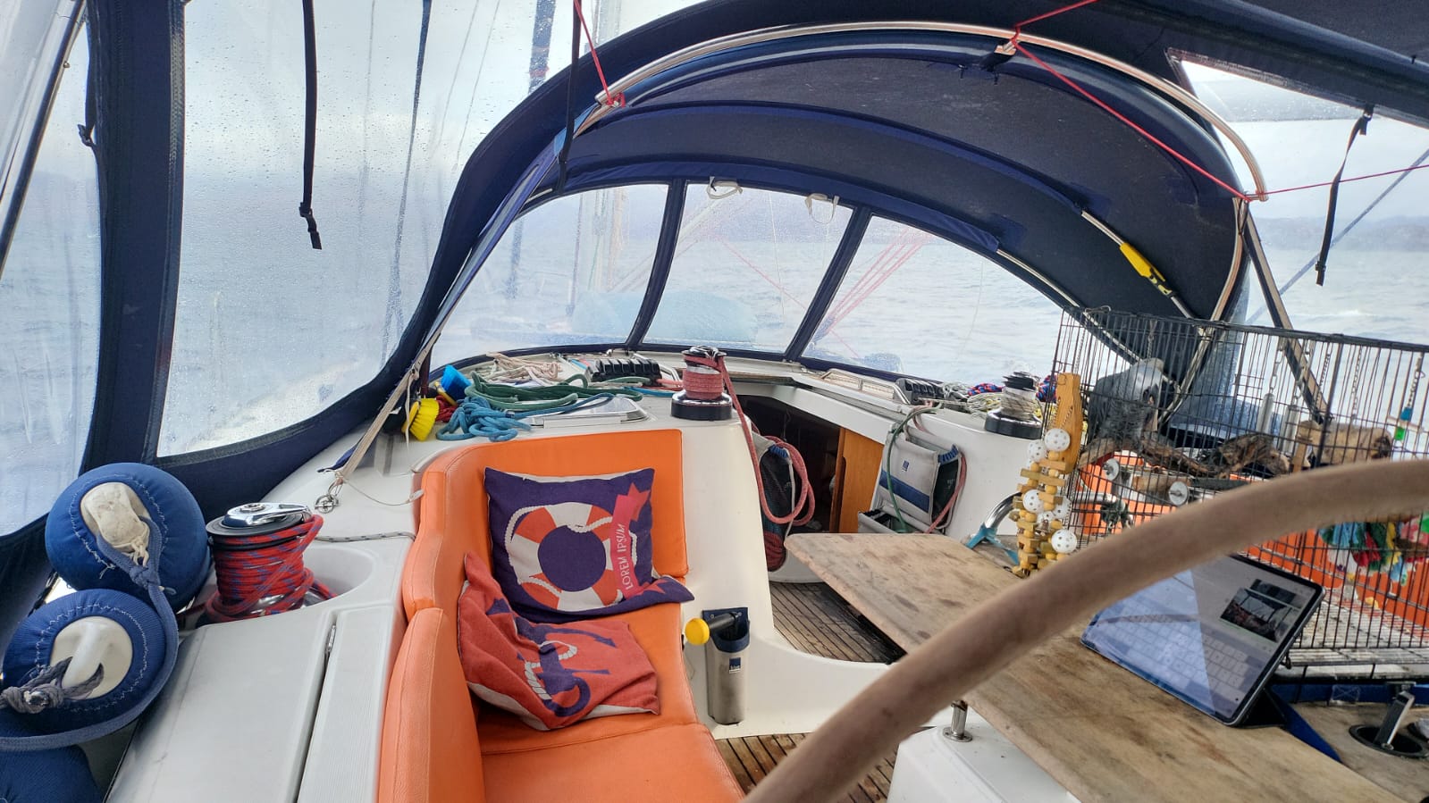 Buster in his house in the cockpit
